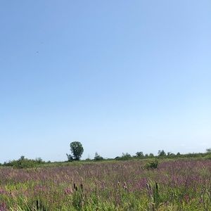 Meet your Posher, Sara-rose